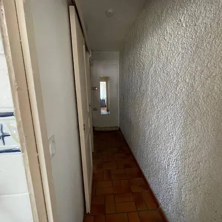 Familial Proche A Avec Balcon Et Animaux Acceptes - Fr-1-225-741 Argeles-sur-Mer
